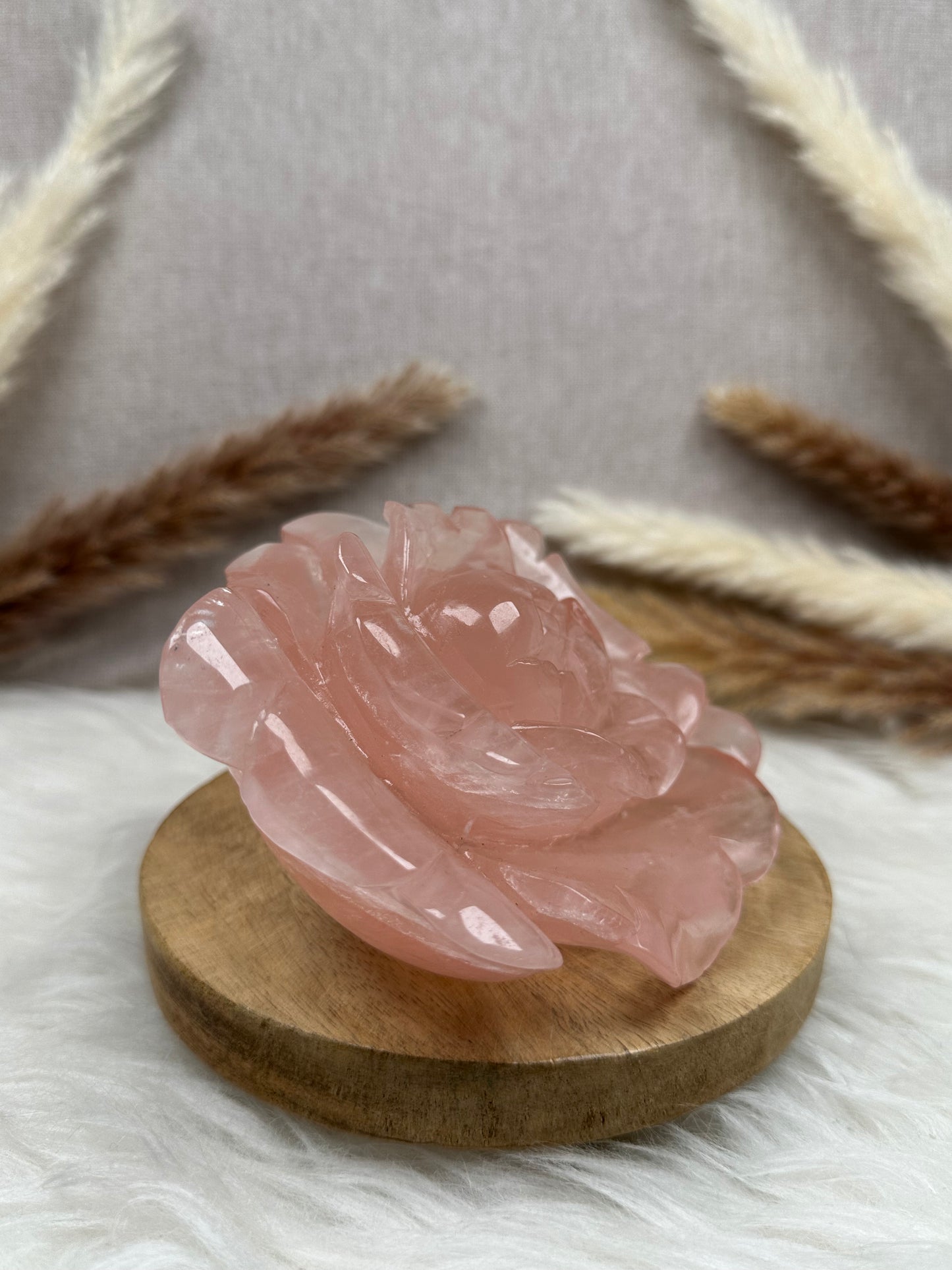 Rosenquarz Rose (3)