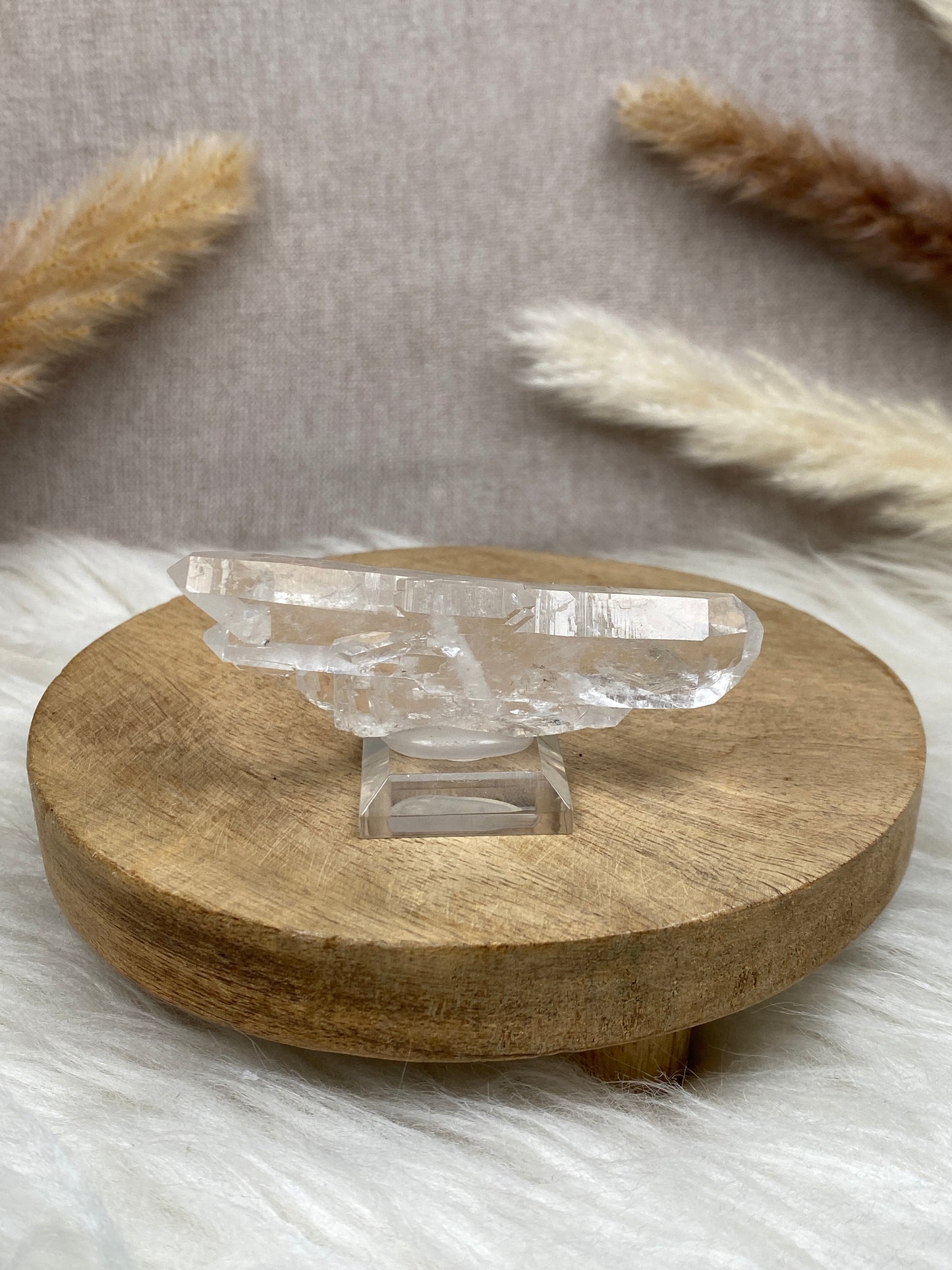 Fadenquarz Cluster (2)