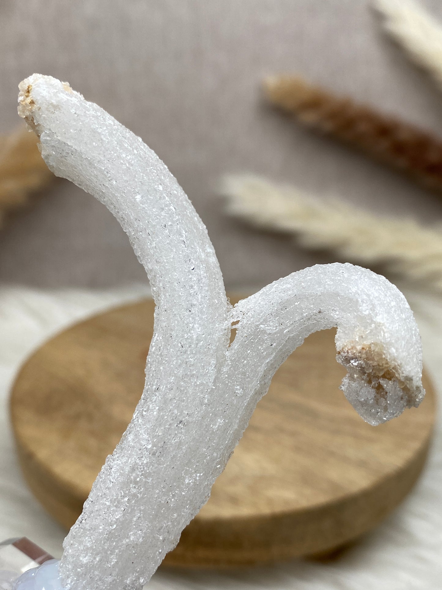 Gipslocke (2) auf Sockel