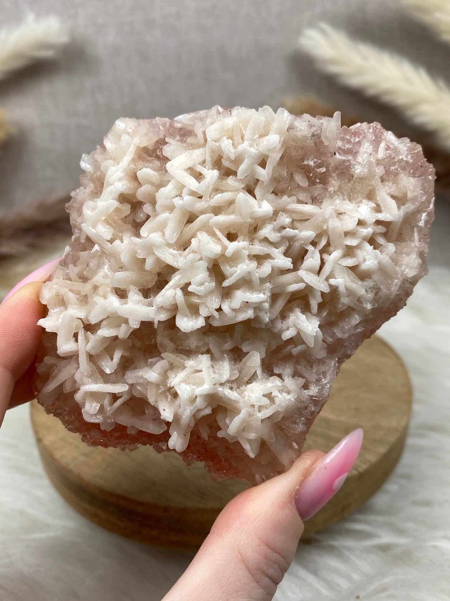 Rosa Apophyllit Cluster (5)