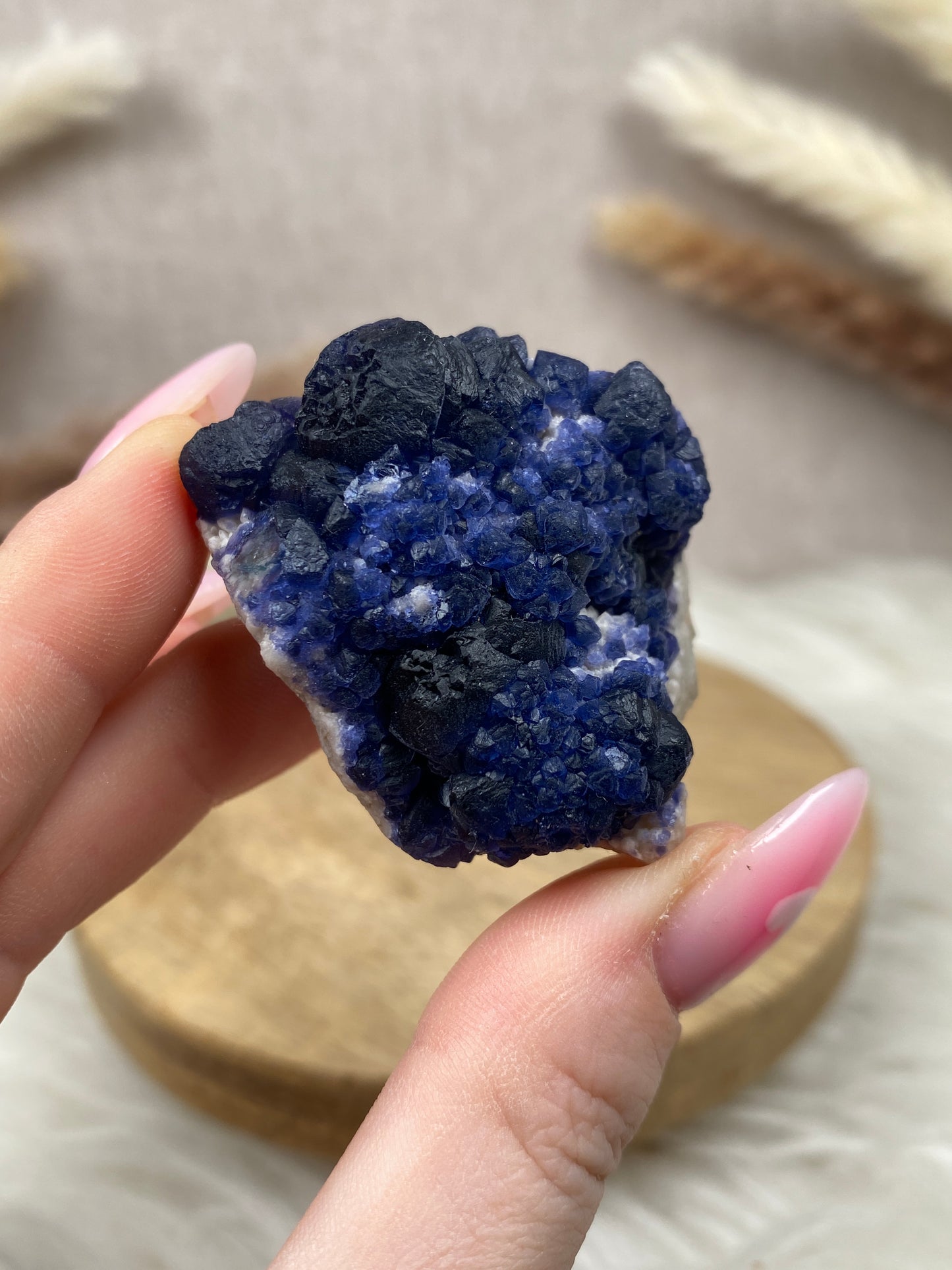 Blaubeer Fluorit auf Quarz (11)