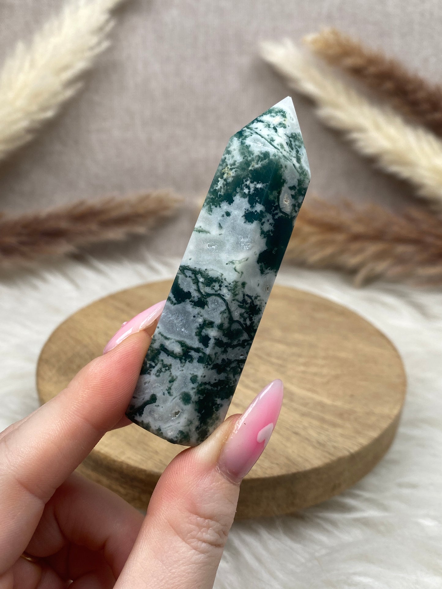 Moosachat Spitze (1)