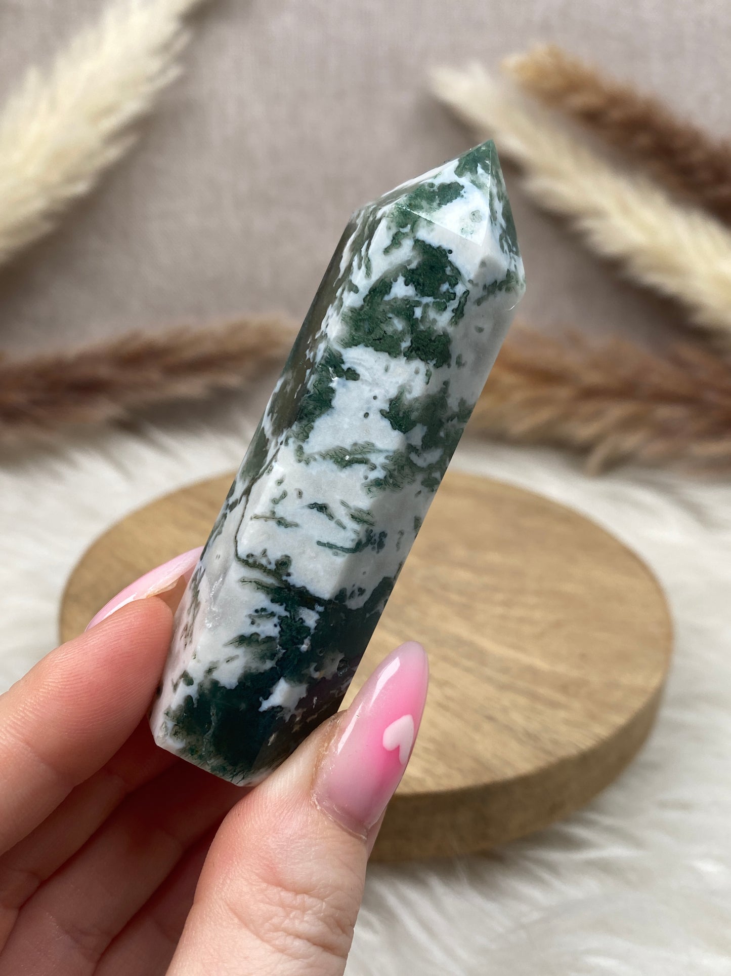 Moosachat Spitze (2)