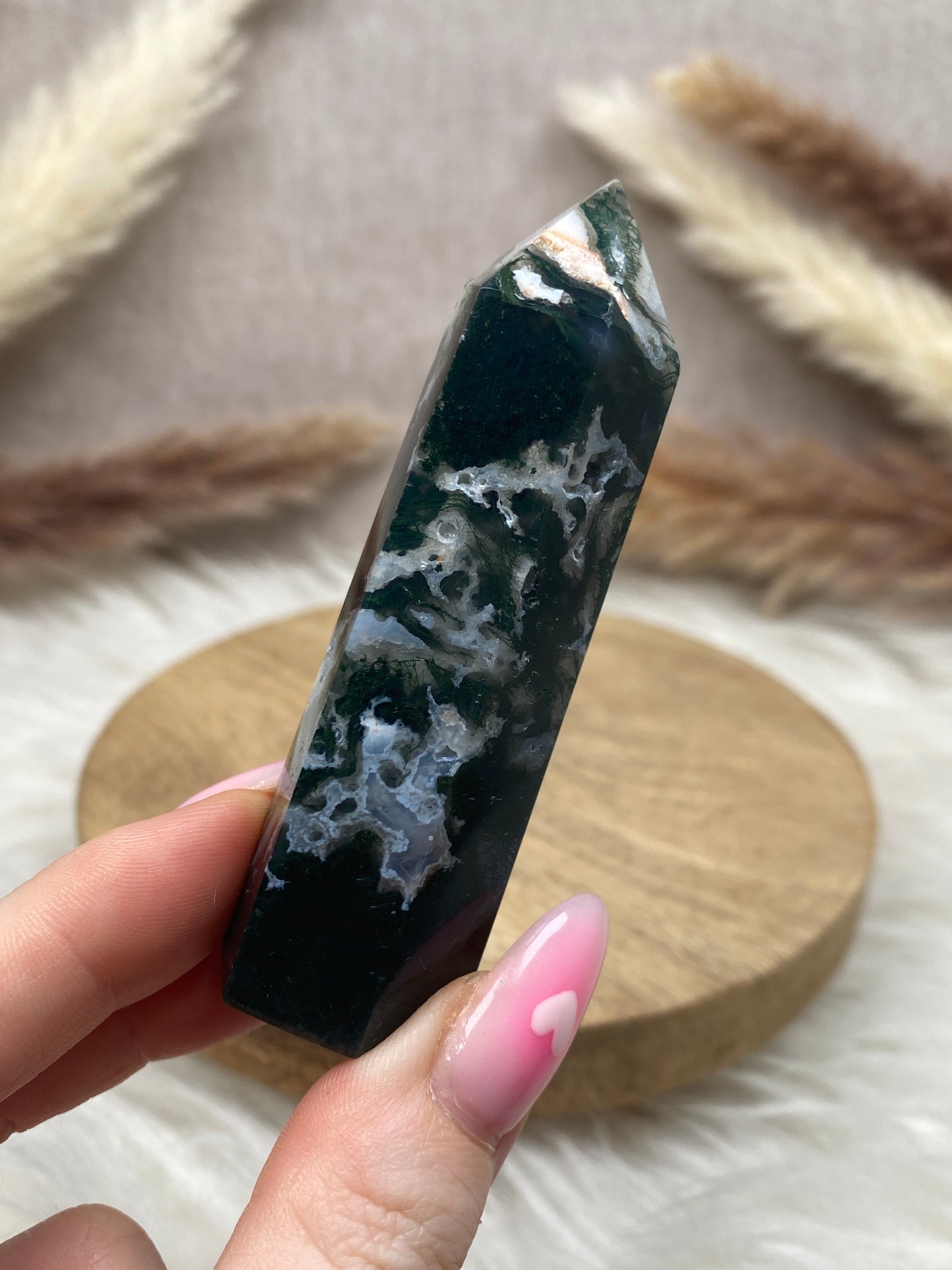 Moosachat Spitze (10)