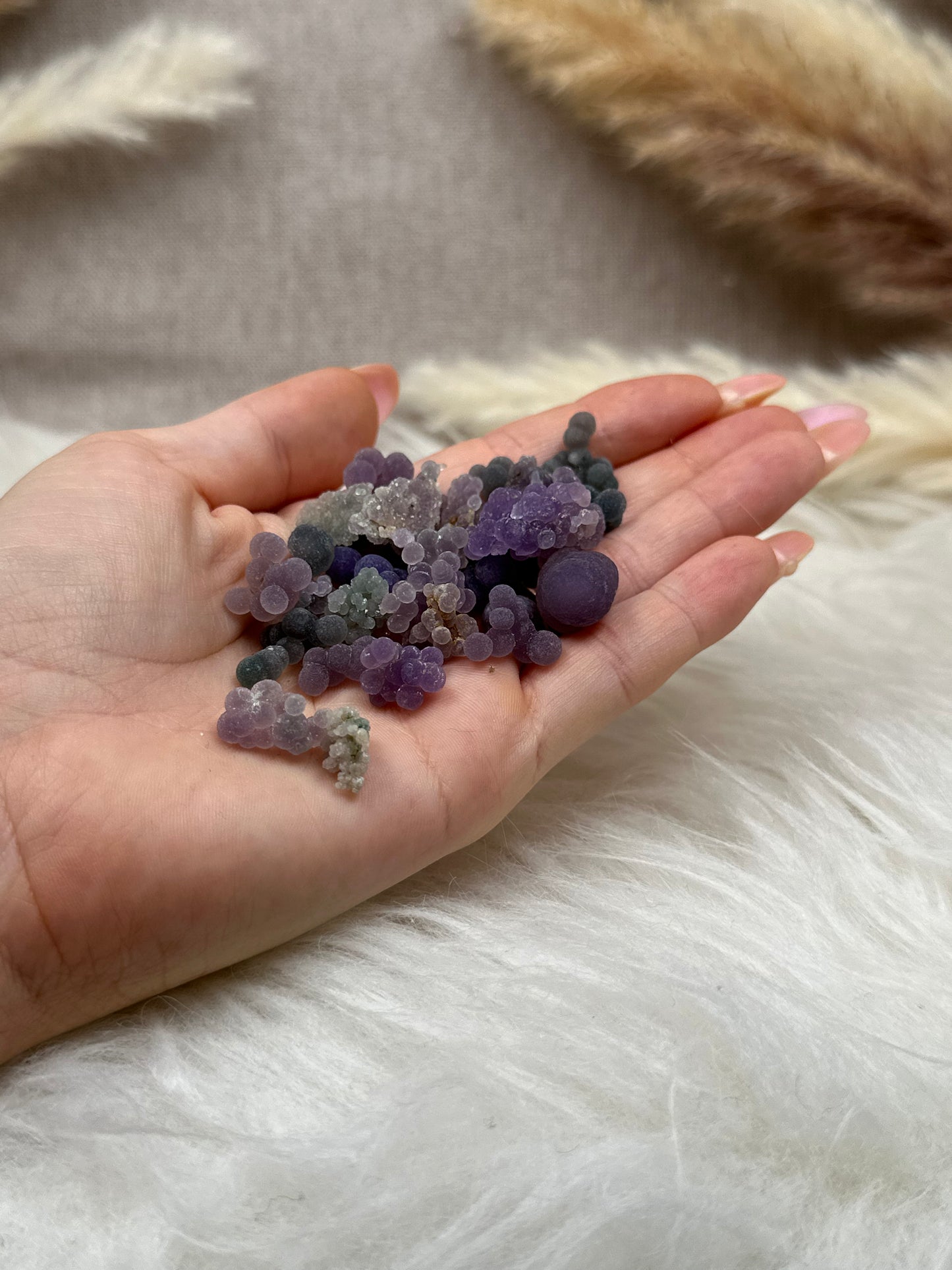 Trauben Chalcedon Sets