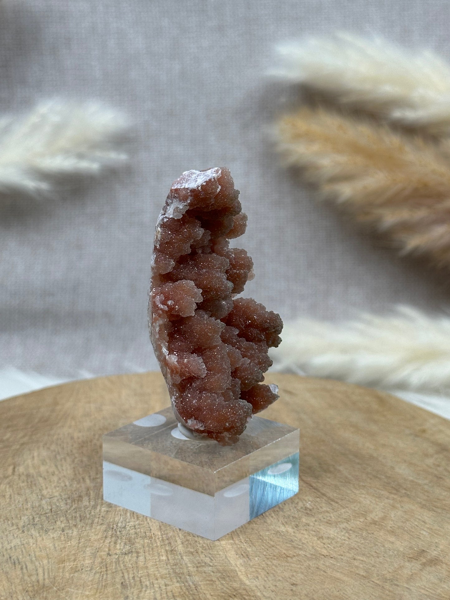 Roter Chalcedon (4)