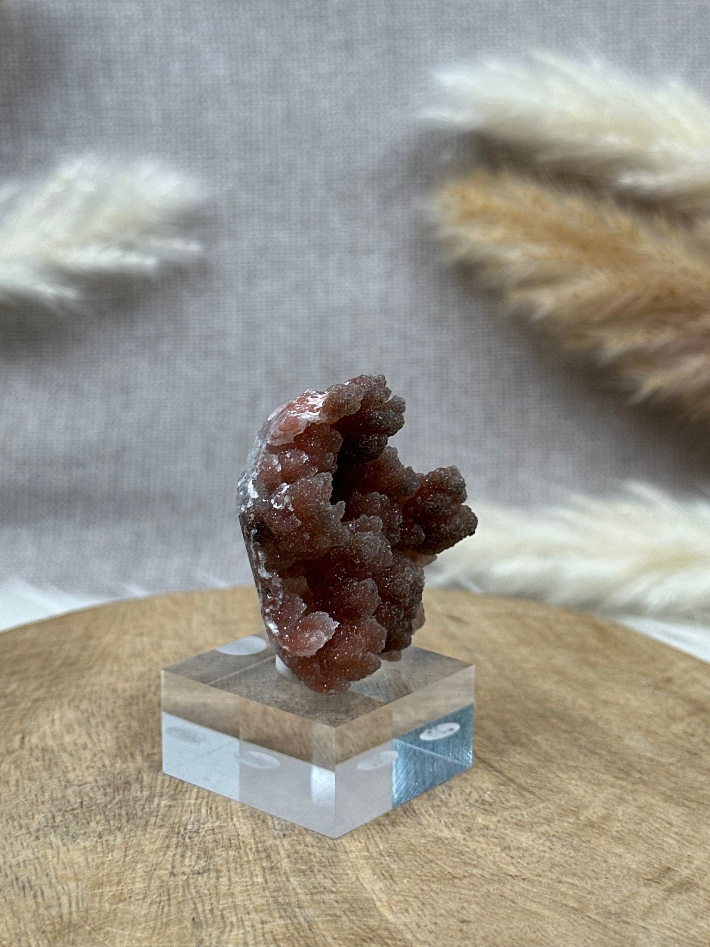 Roter Chalcedon (5)