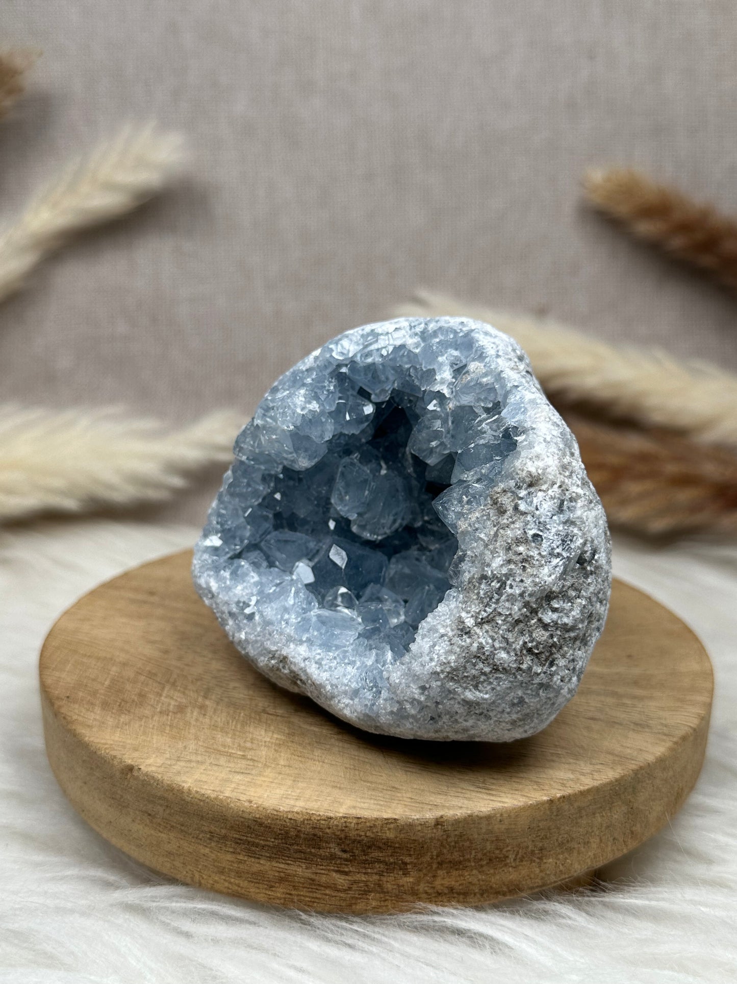 Coelestin Cluster/Geode (1)