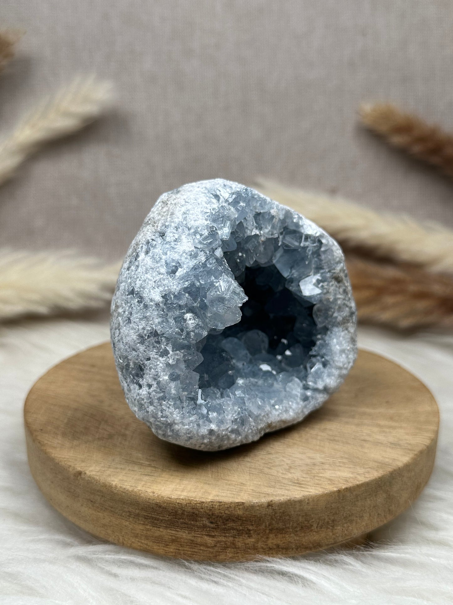 Coelestin Cluster/Geode (1)