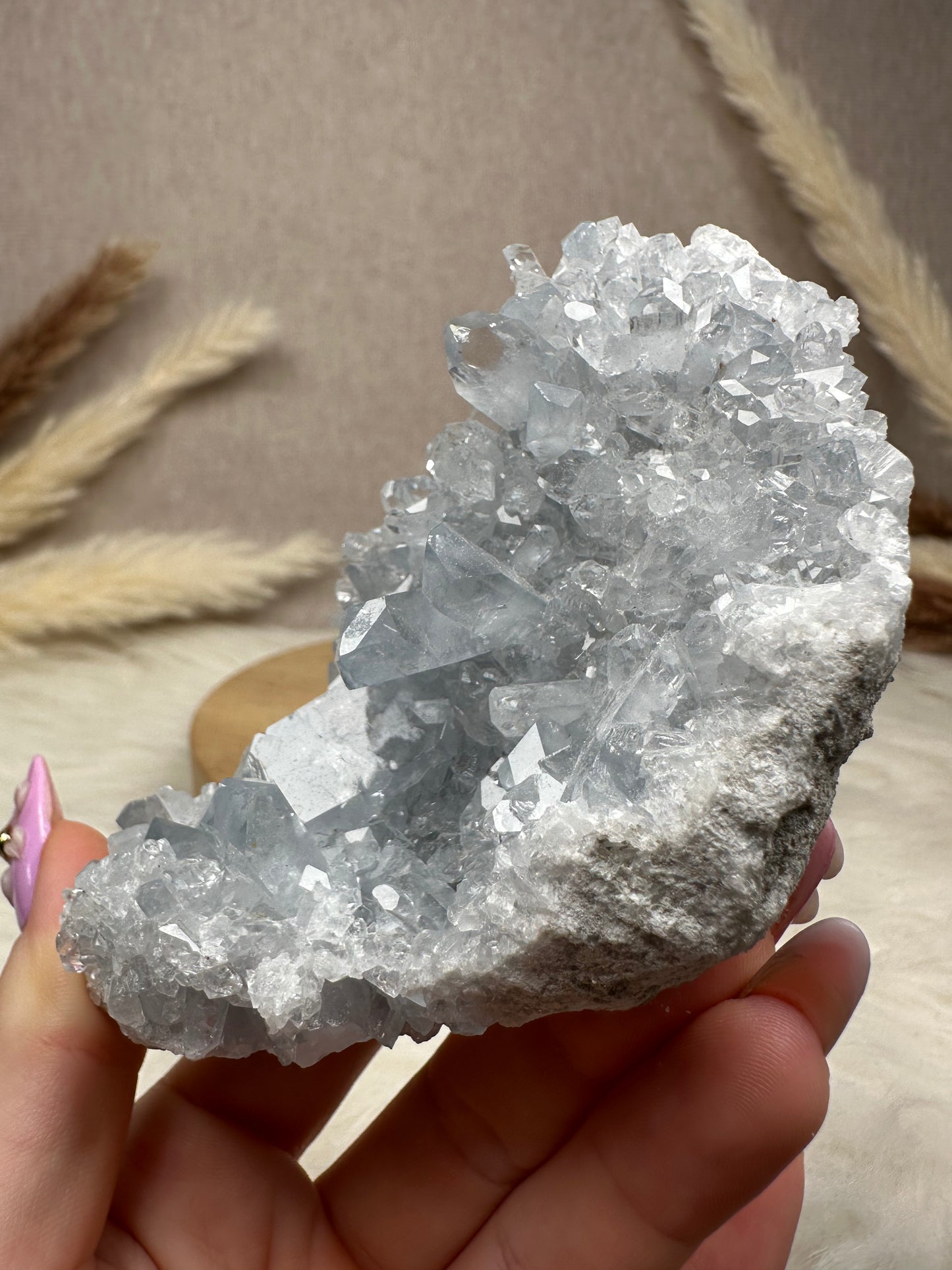 Coelestin Cluster (4)