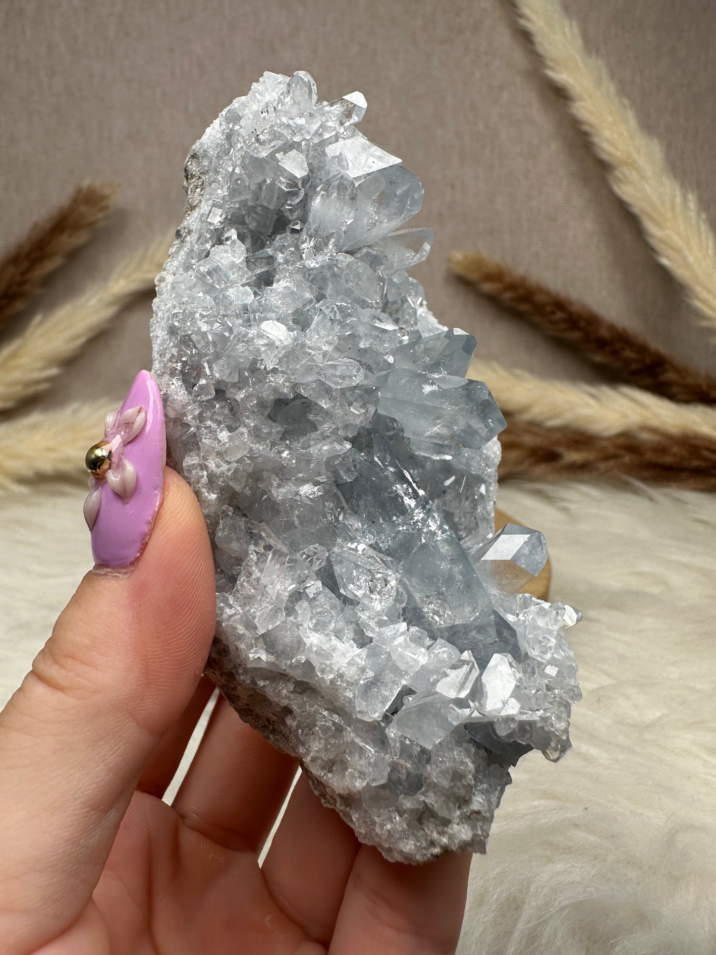 Coelestin Cluster (4)