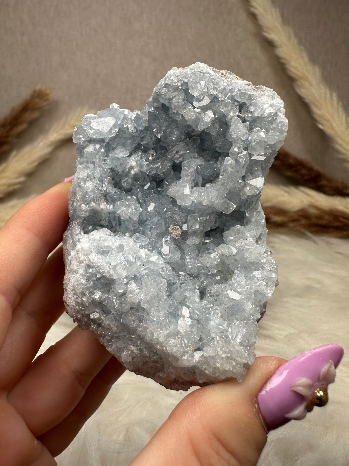 Coelestin Cluster (7)