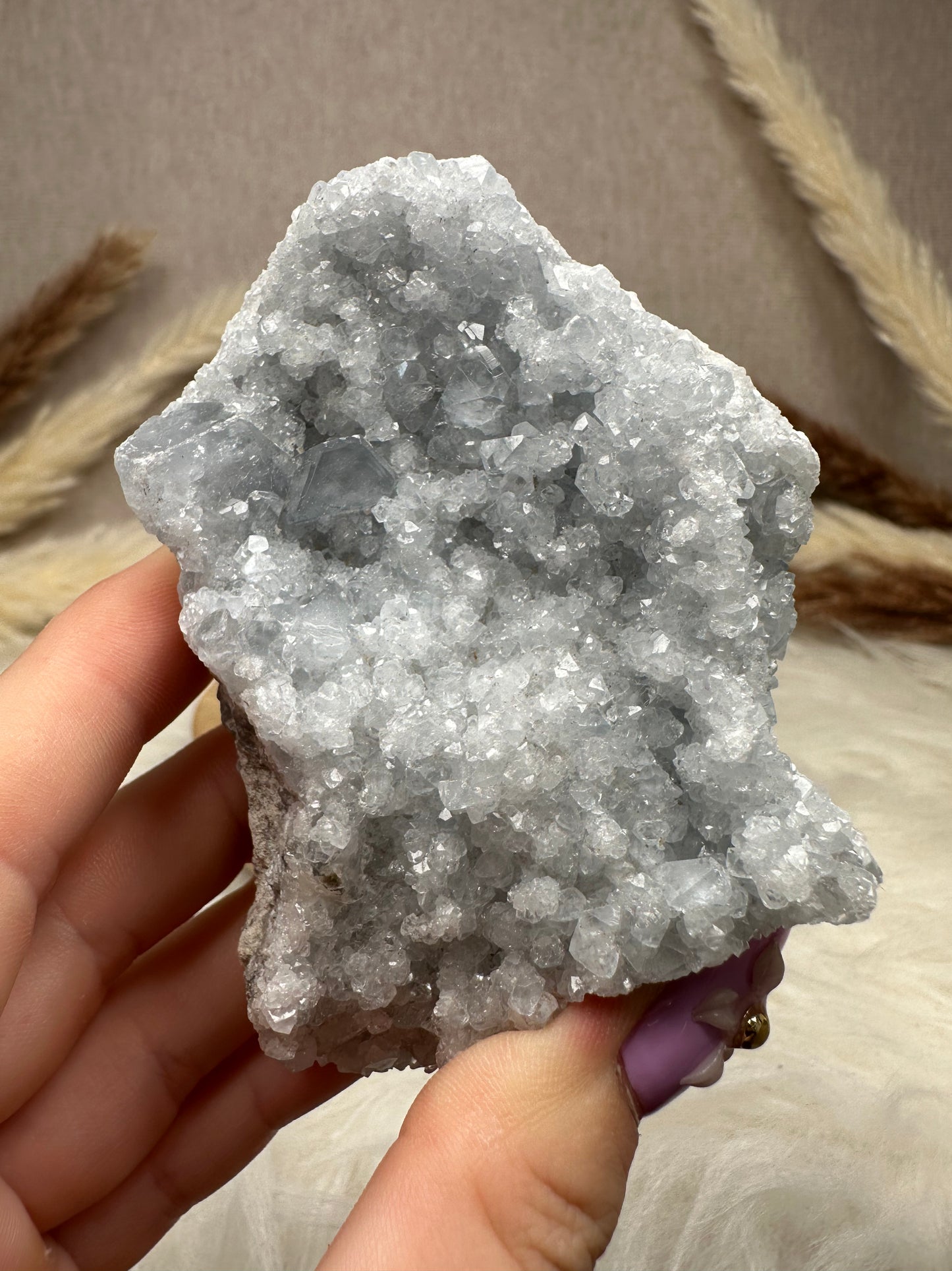 Coelestin Cluster (8)