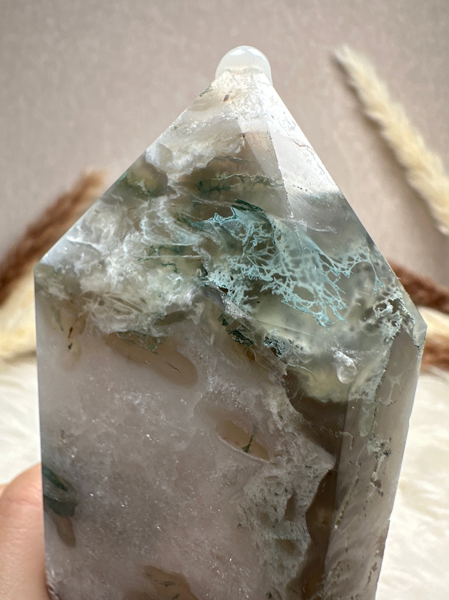 XL Moosachat Turm (2)