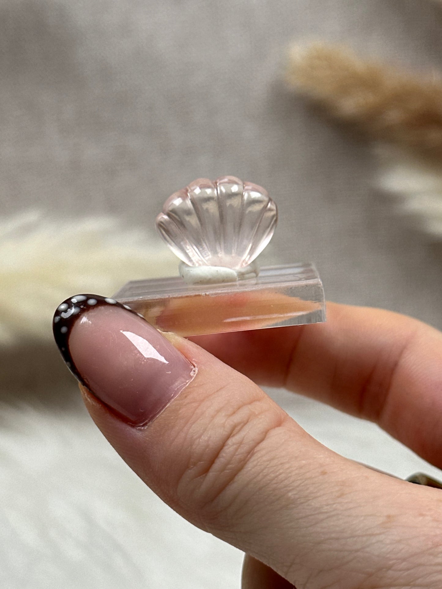 Mini Rosenquarz Muscheln