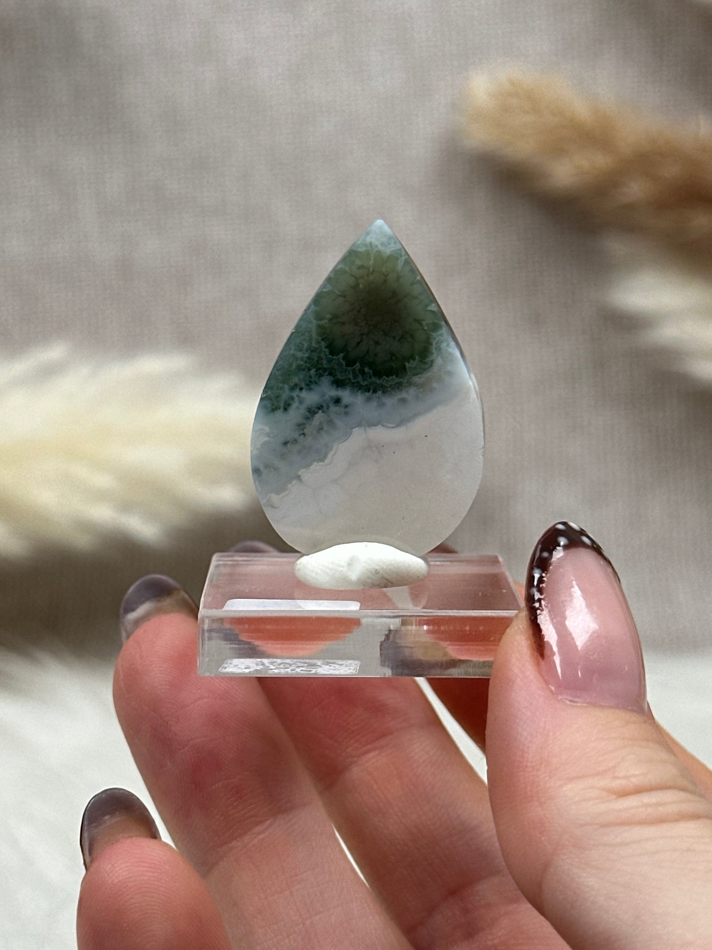 Ozean Jaspis Cabochon (3)