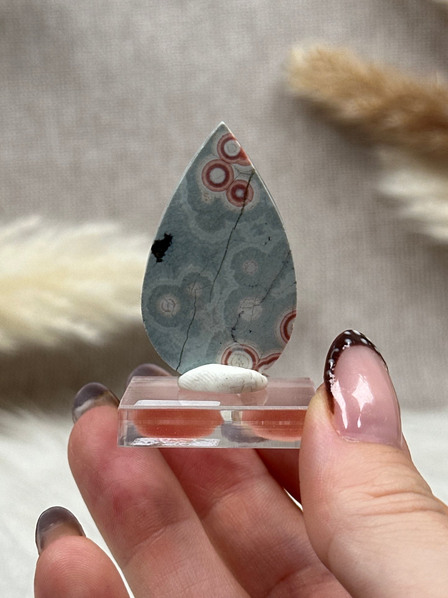 Ozean Jaspis Cabochon (4)