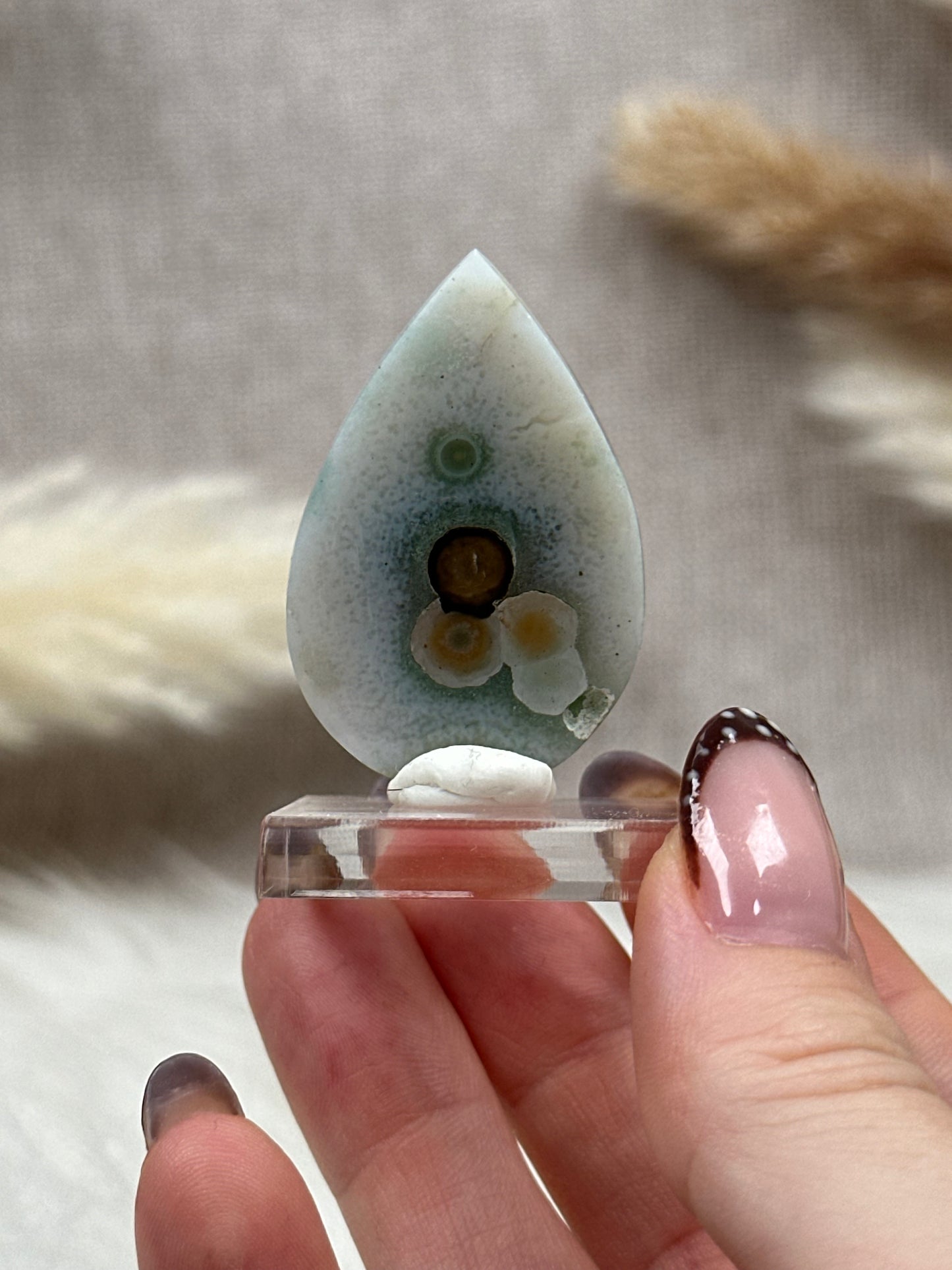 Ozean Jaspis Cabochon (7)