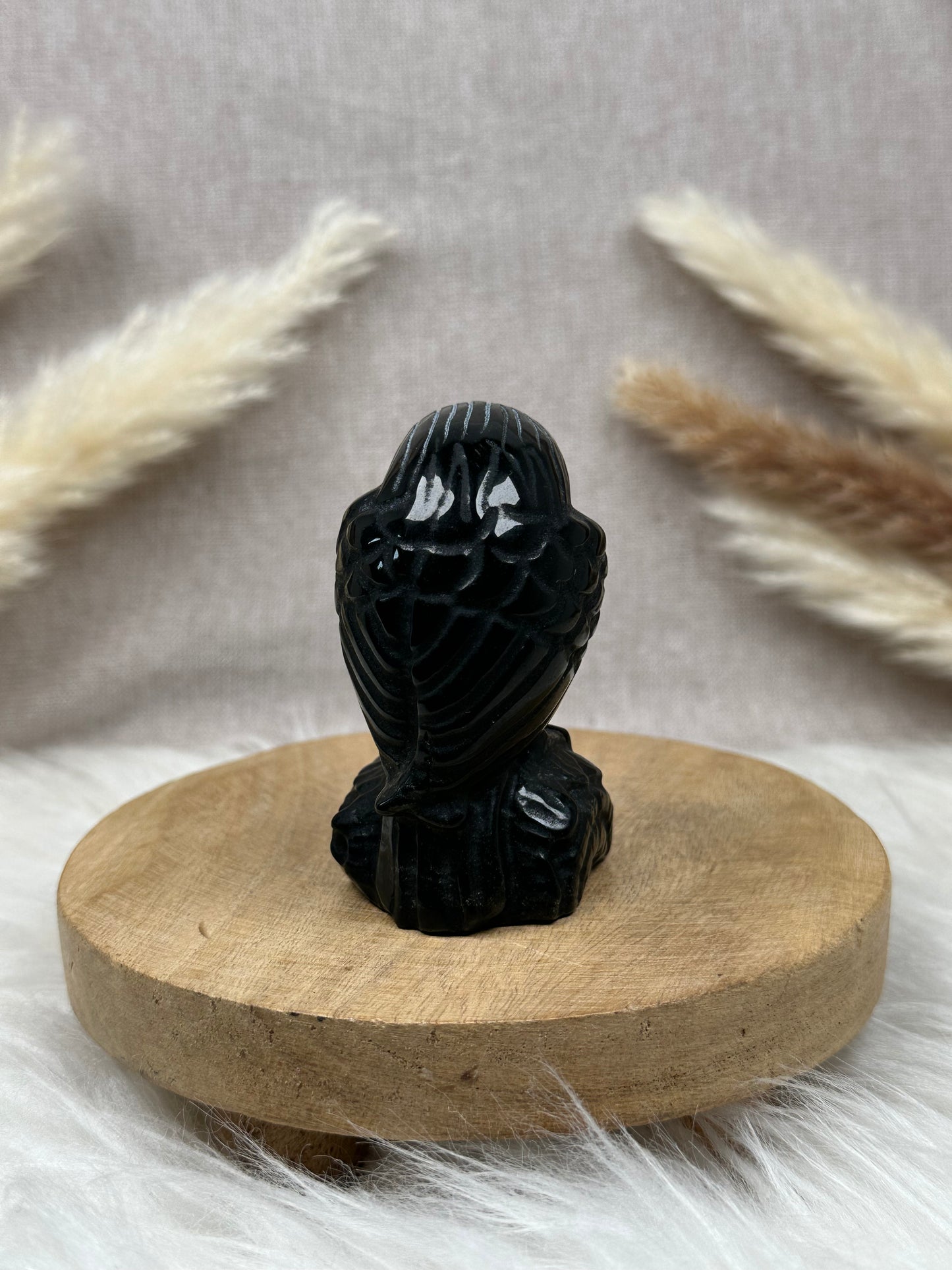 Obsidian Raben