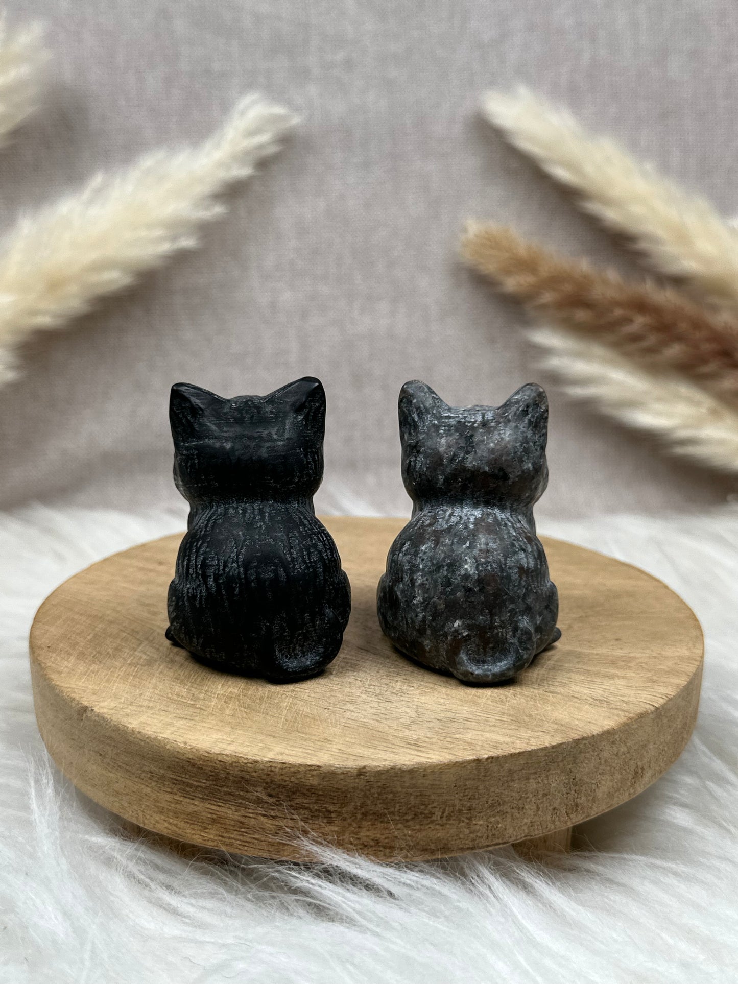 Sitzende Katzen (versch. Sorten)