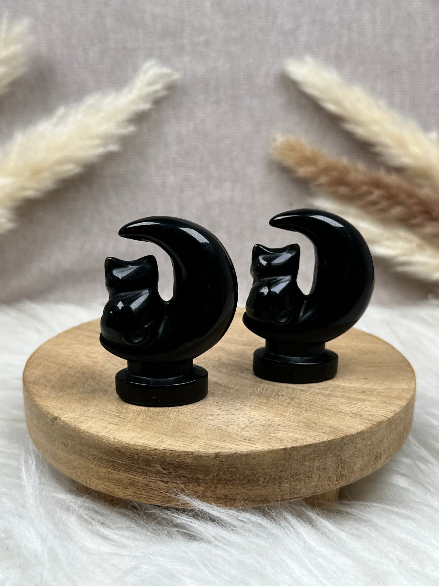 Halbmond mit Katze (versch. Sorten)
