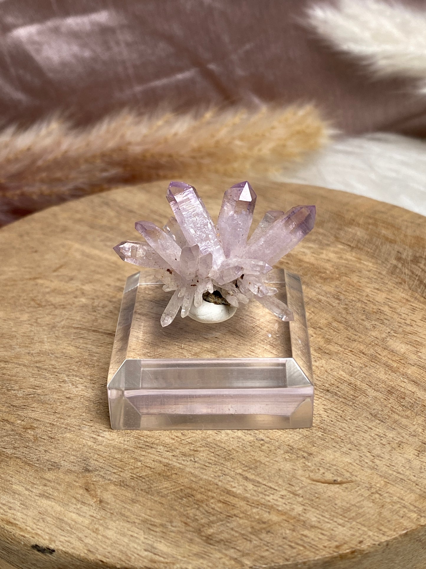 Vera Cruz Amethyst