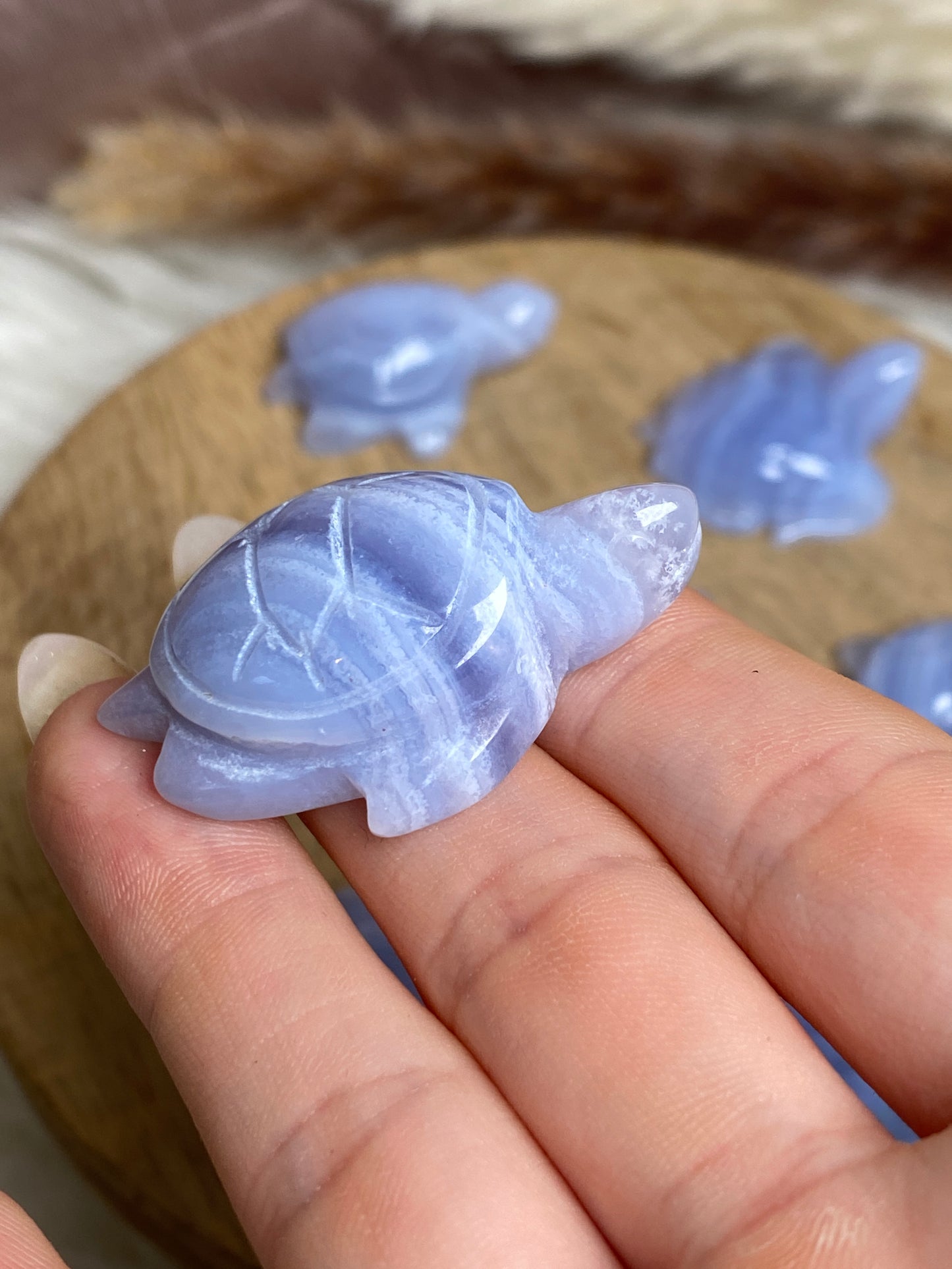 Blaue Chalcedon Schildkröten