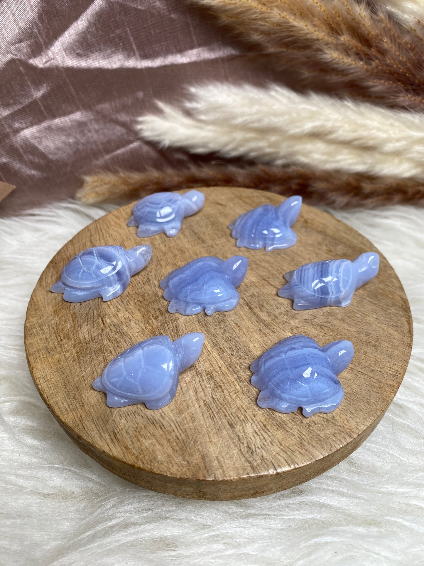 Blaue Chalcedon Schildkröten