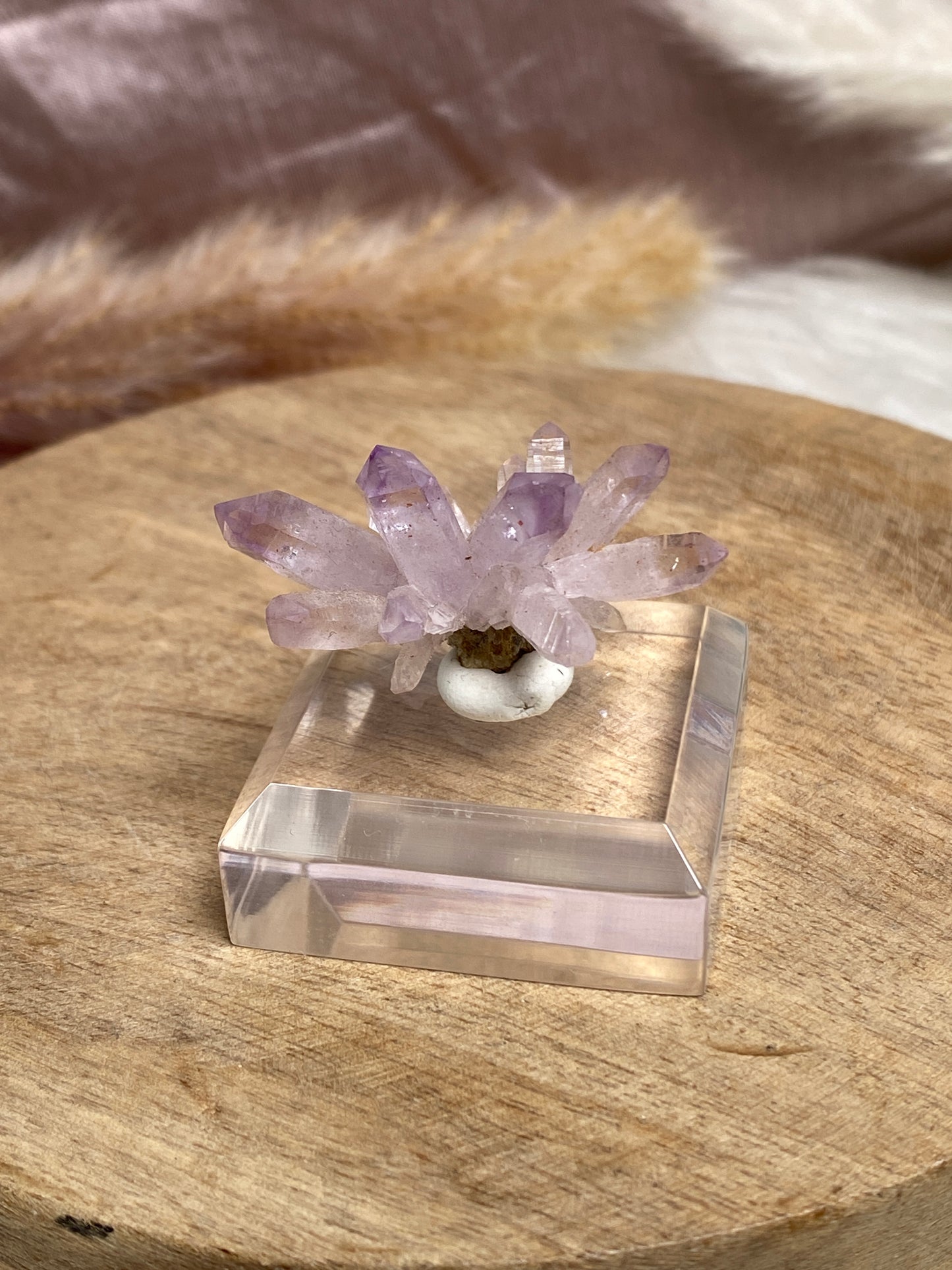 Vera Cruz Amethyst