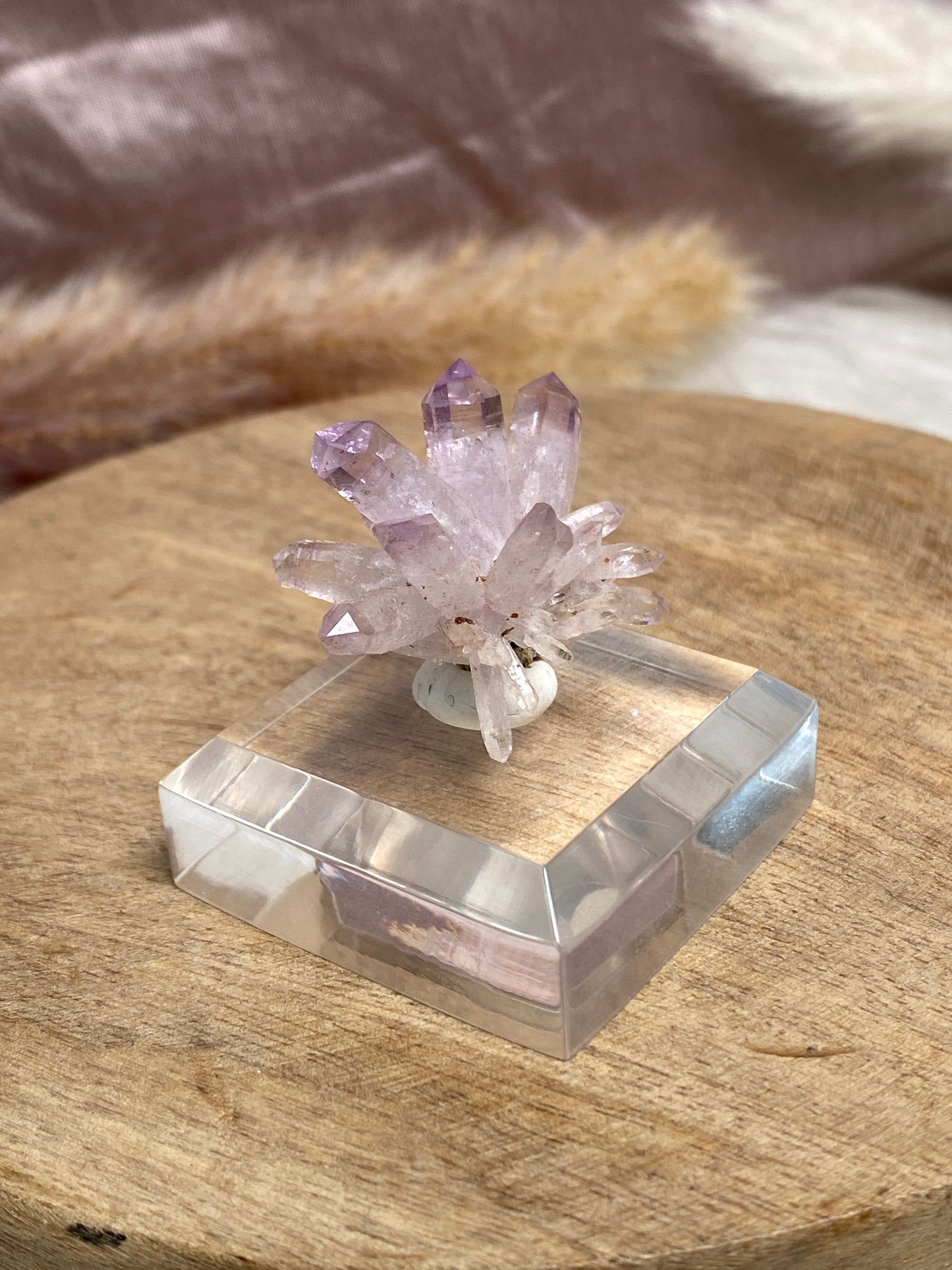 Vera Cruz Amethyst