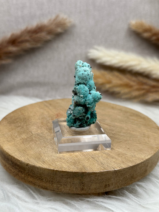 Chrysokoll-Malachit mit Quarz (2)