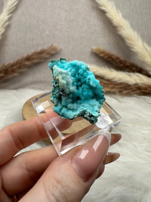 Chrysokoll-Malachit mit Quarz (4)