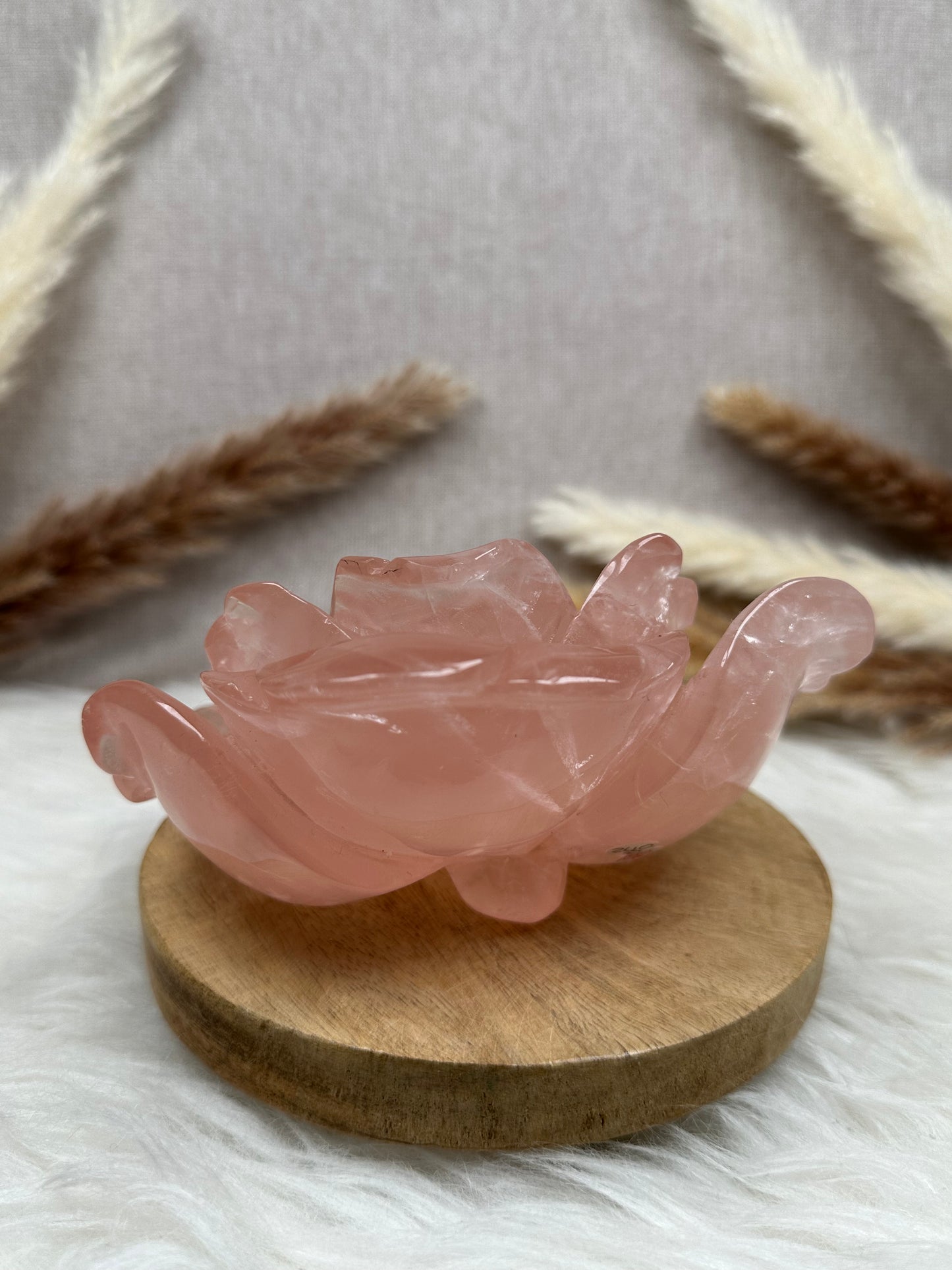 Rosenquarz Rose (3)