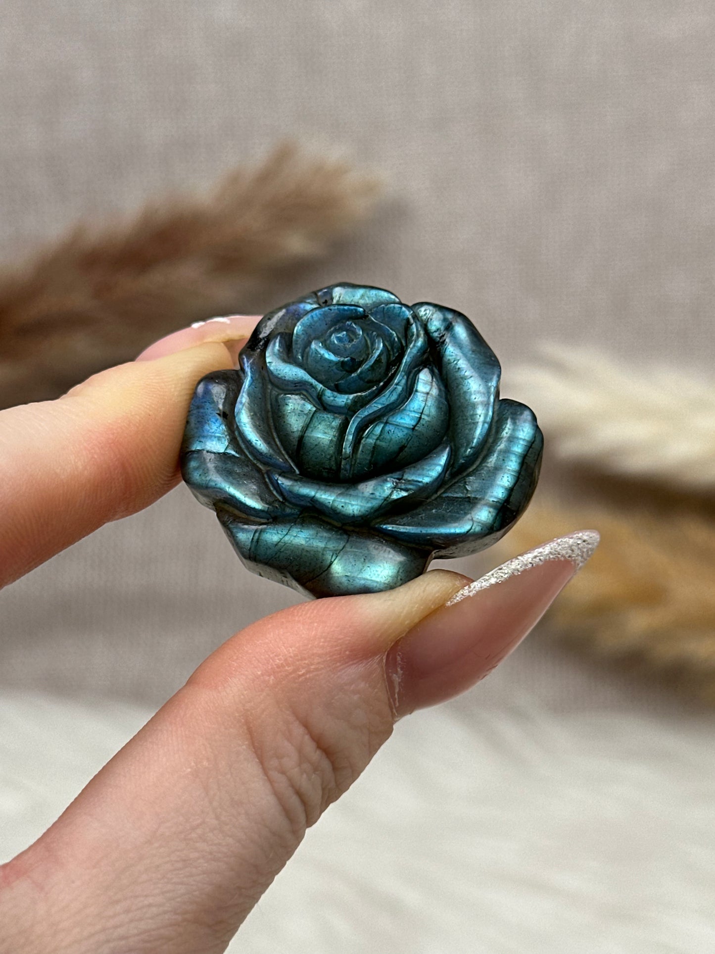 Kleine Labradorit Rosen