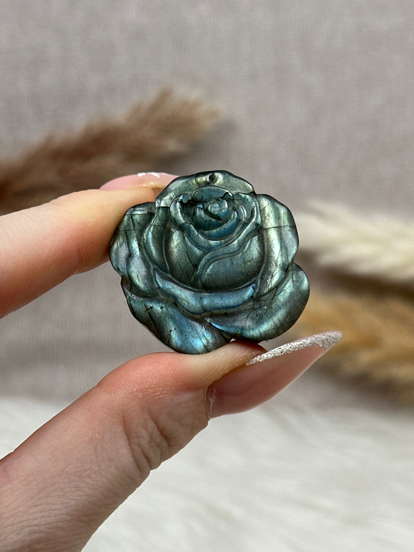 Kleine Labradorit Rosen