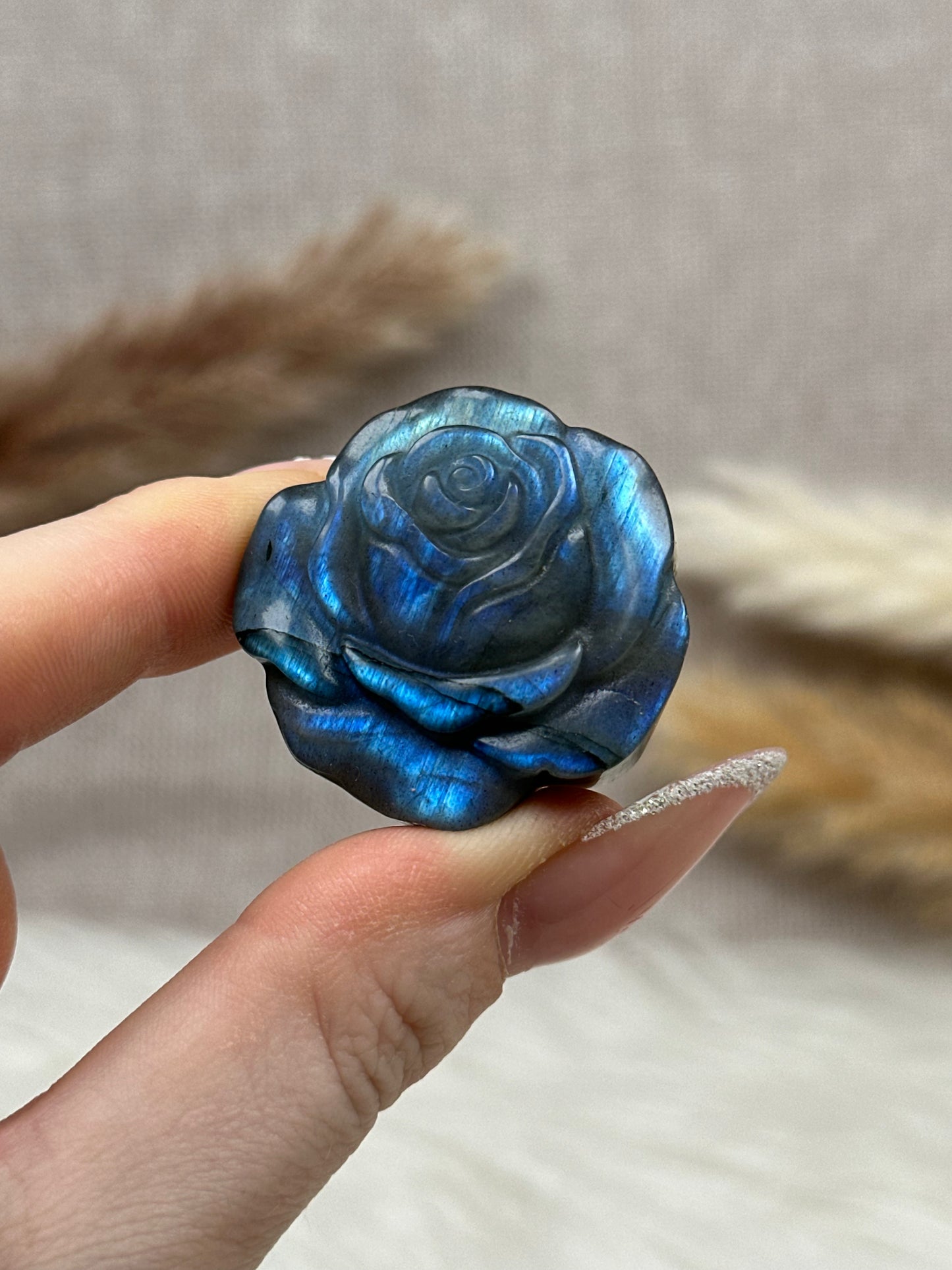 Kleine Labradorit Rosen