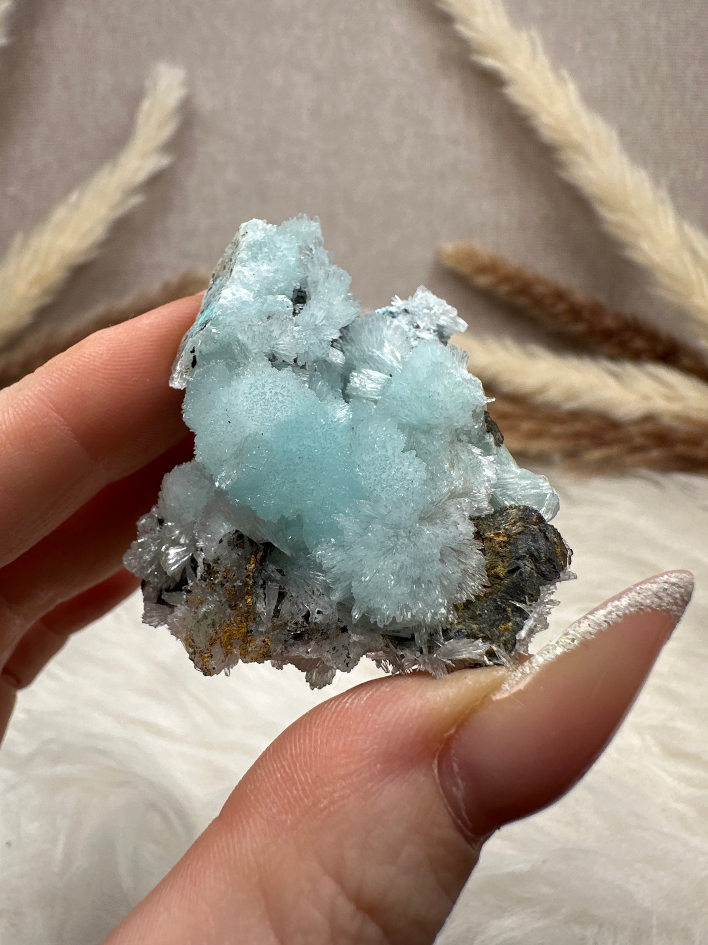 Blaue Aragonit Stufe (6)