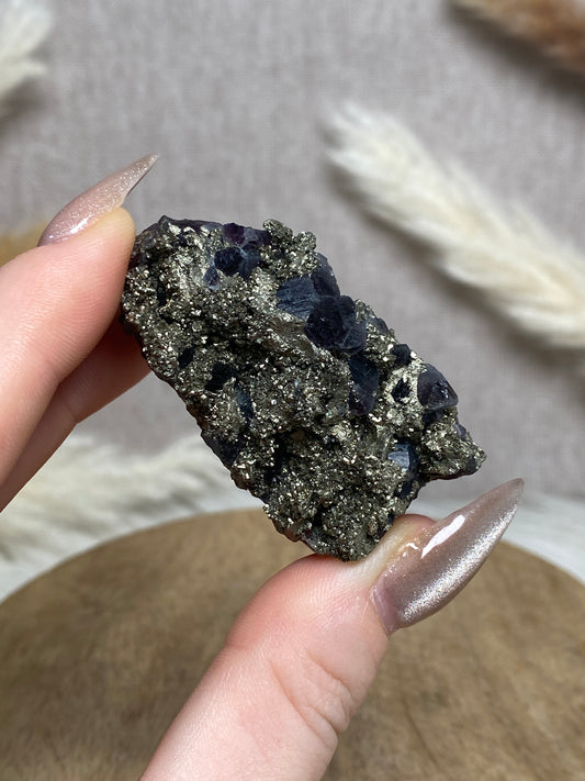 Amethyst mit Pyrit Cluster (1)