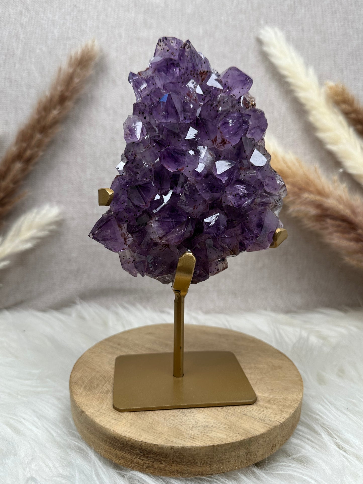Amethyst mit Goethit auf Ständer (1)