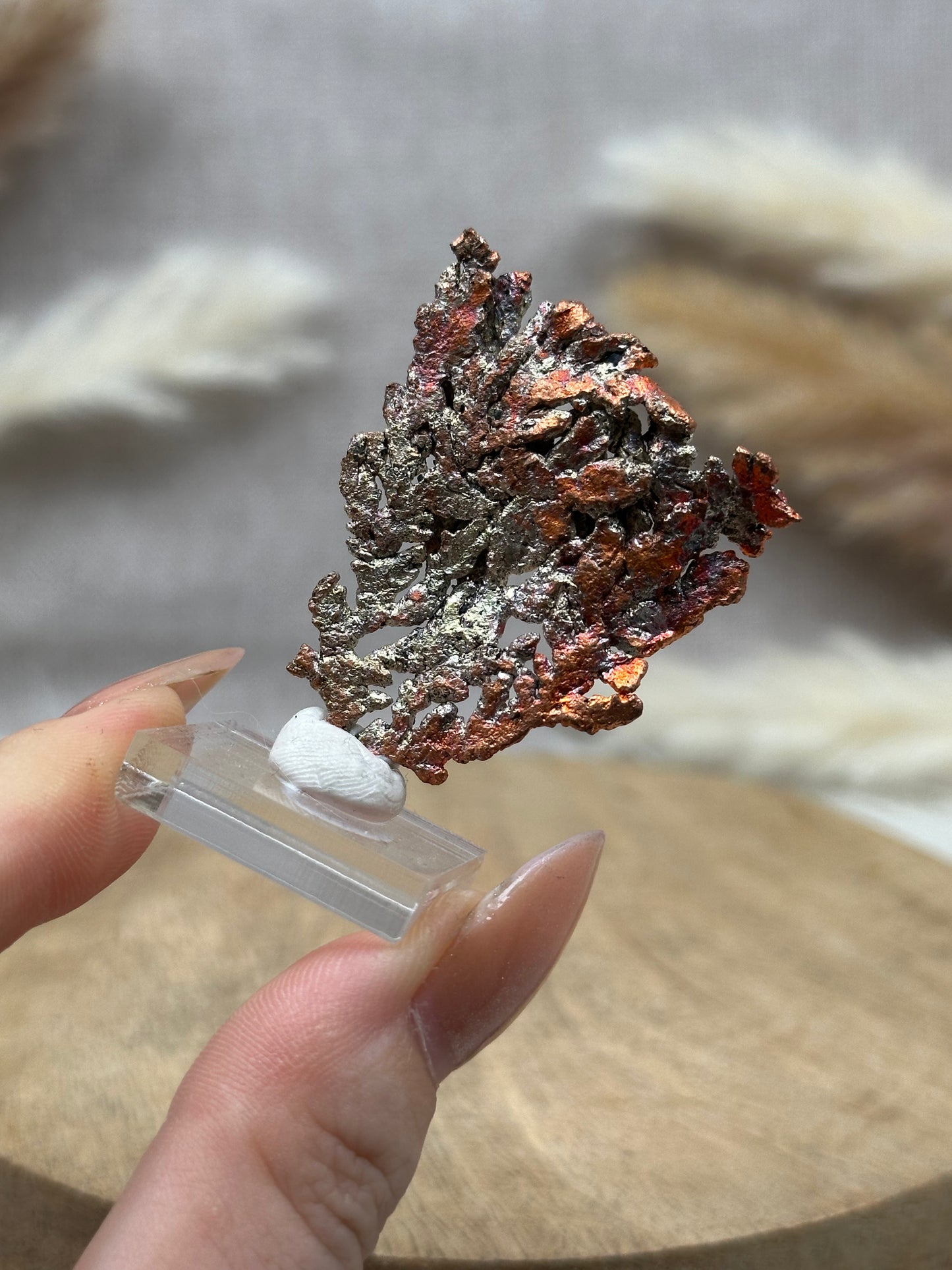 Kupfer Formation (1)