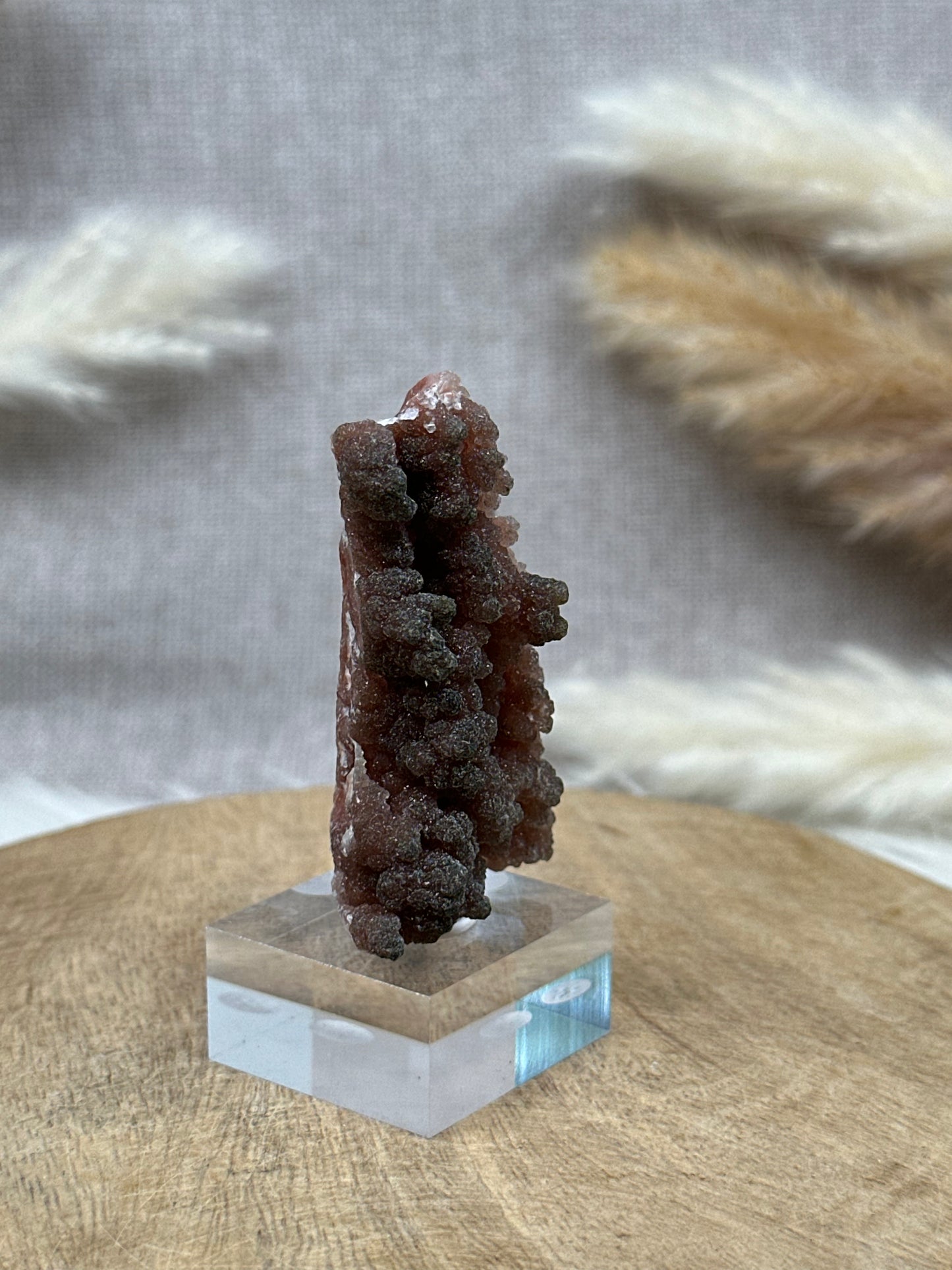 Roter Chalcedon (2)