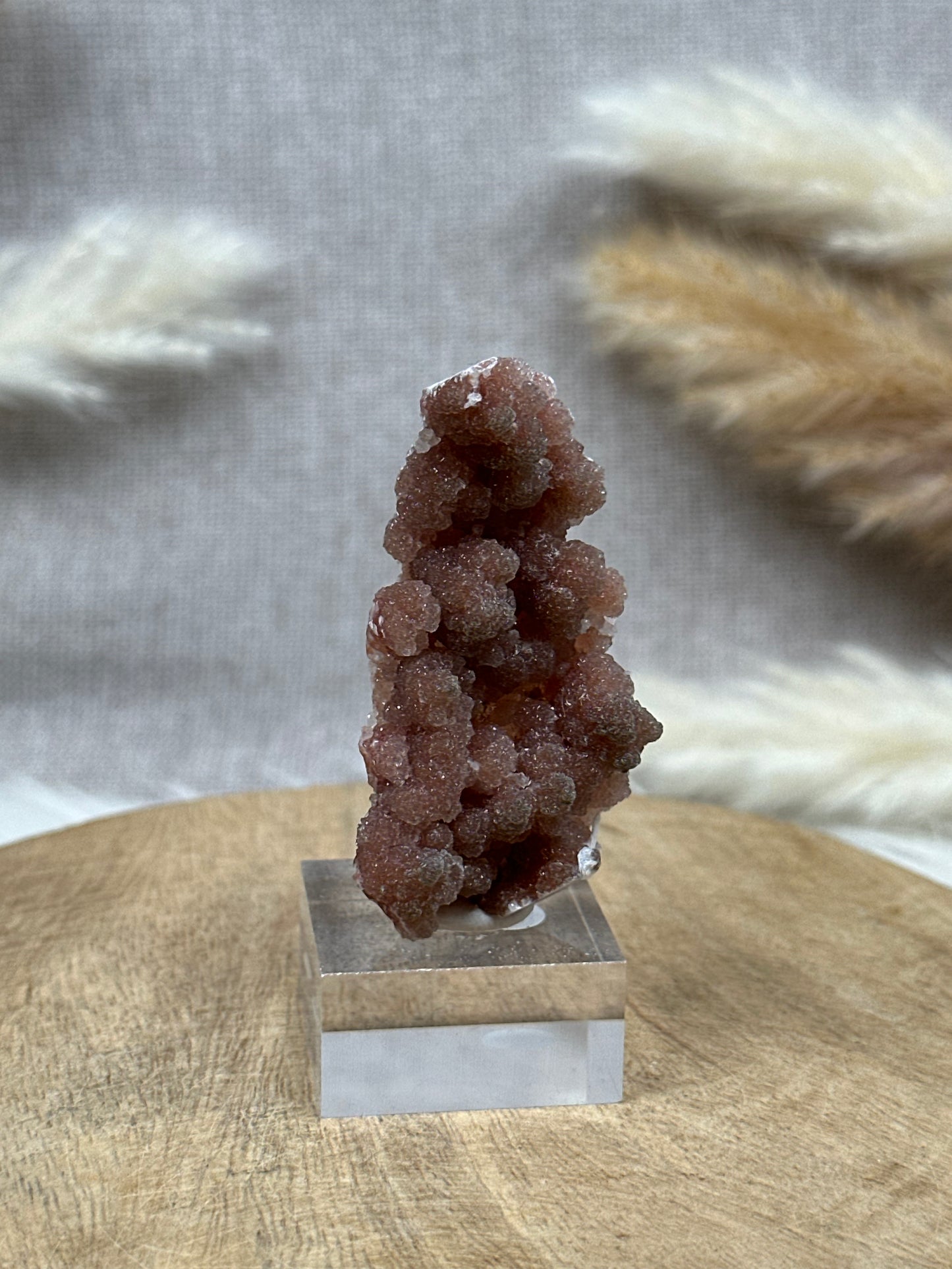 Roter Chalcedon (4)