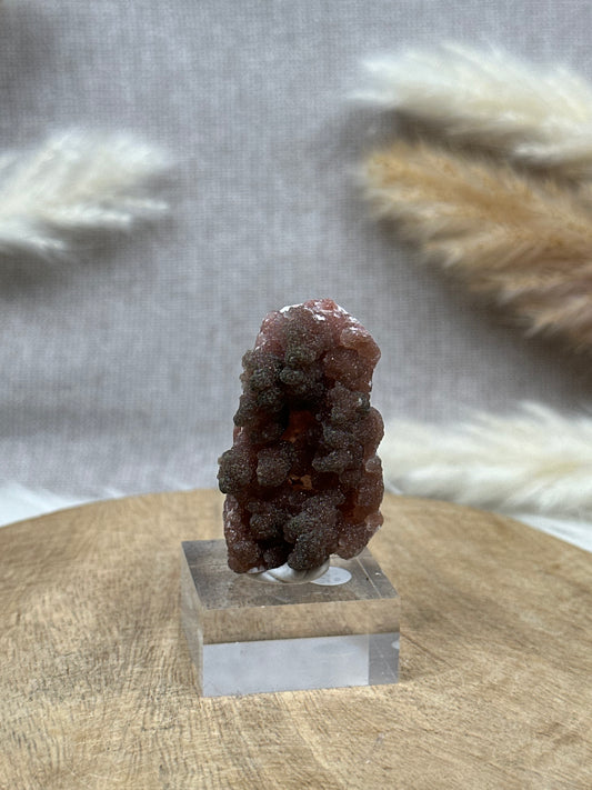 Roter Chalcedon (6)