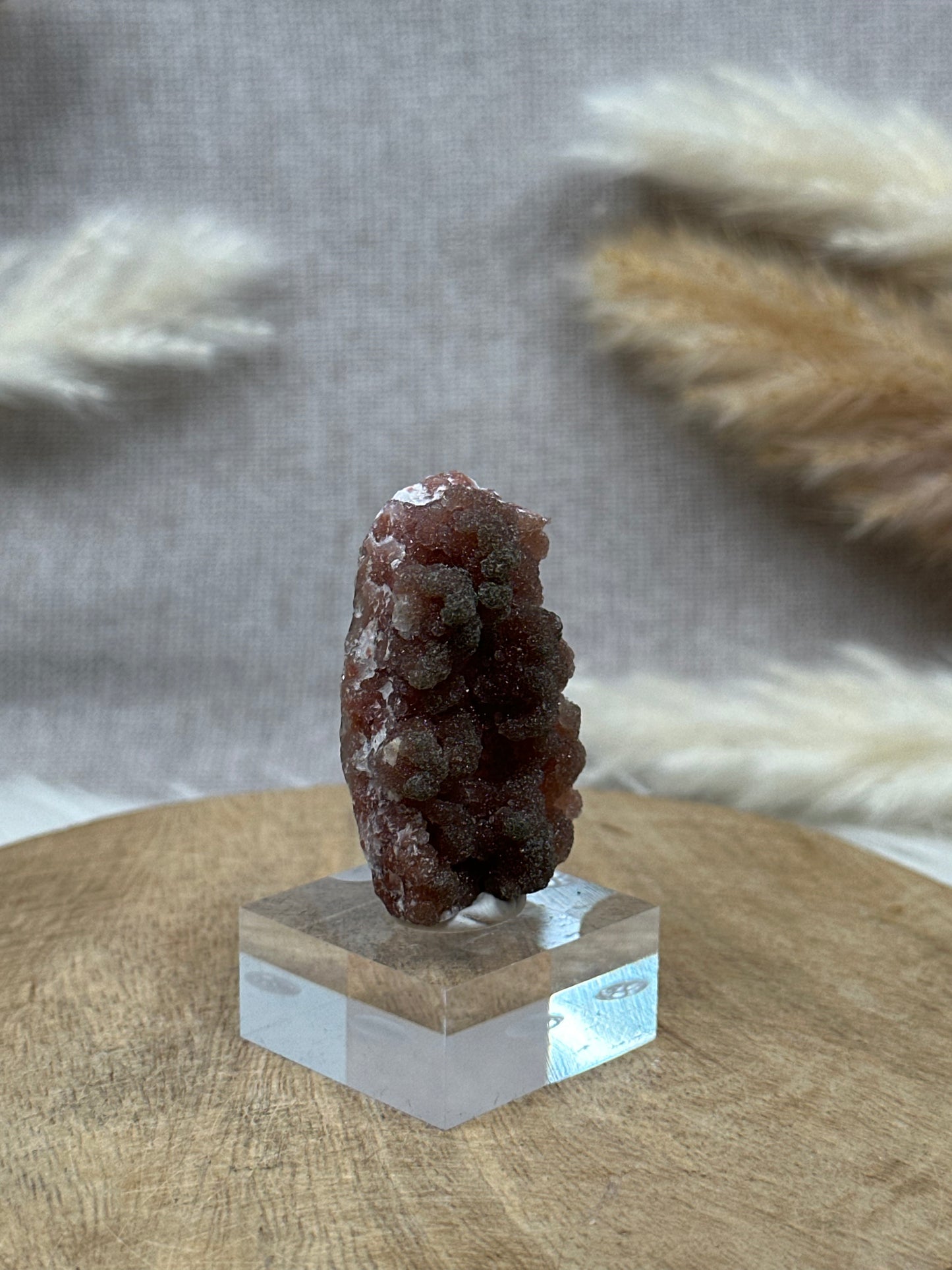 Roter Chalcedon (6)