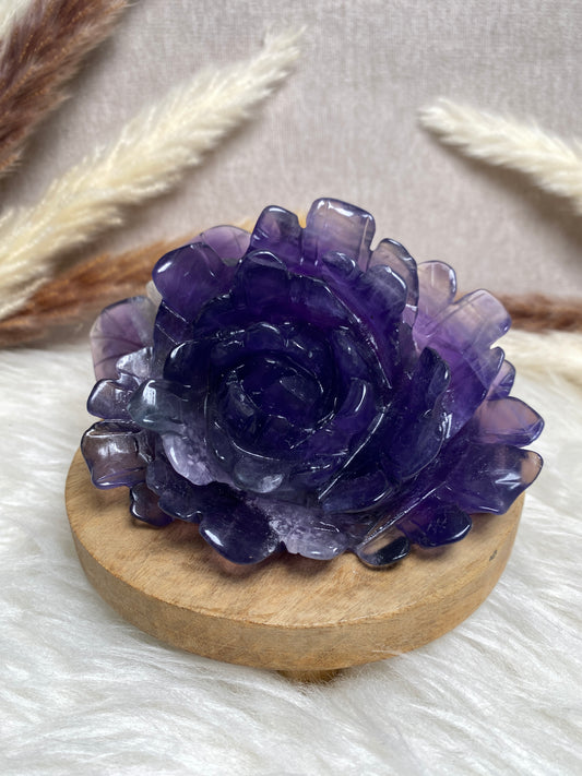 Violette Fluorit Blume (2)