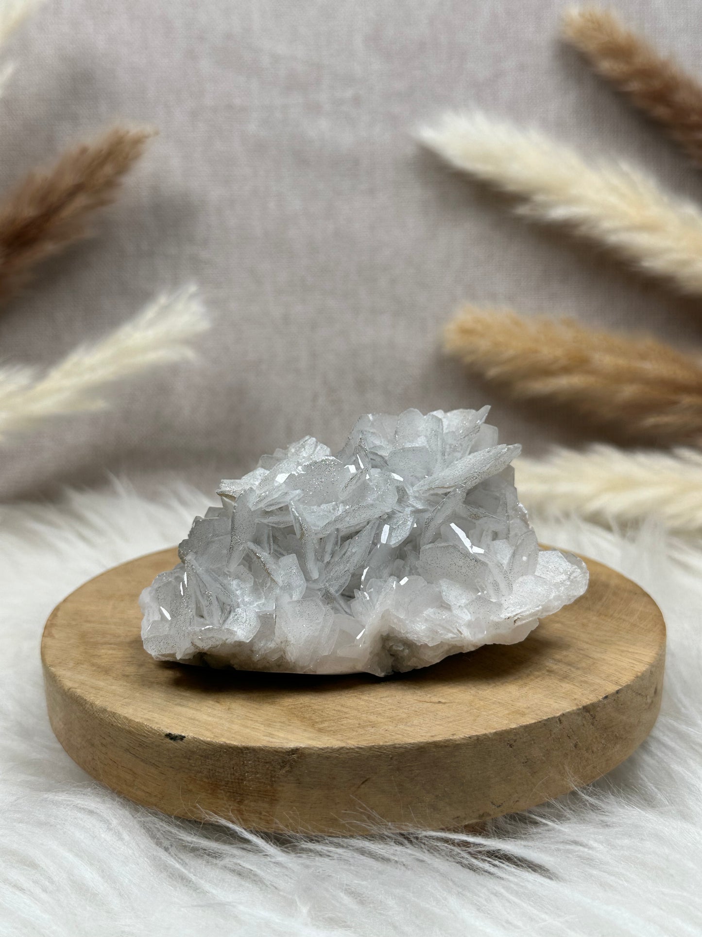 Blätter-Calcit mit Pyrit (1)