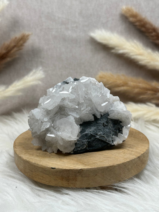Blätter-Calcit mit Pyrit (2)
