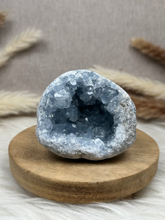 Coelestin Cluster/Geode (1)