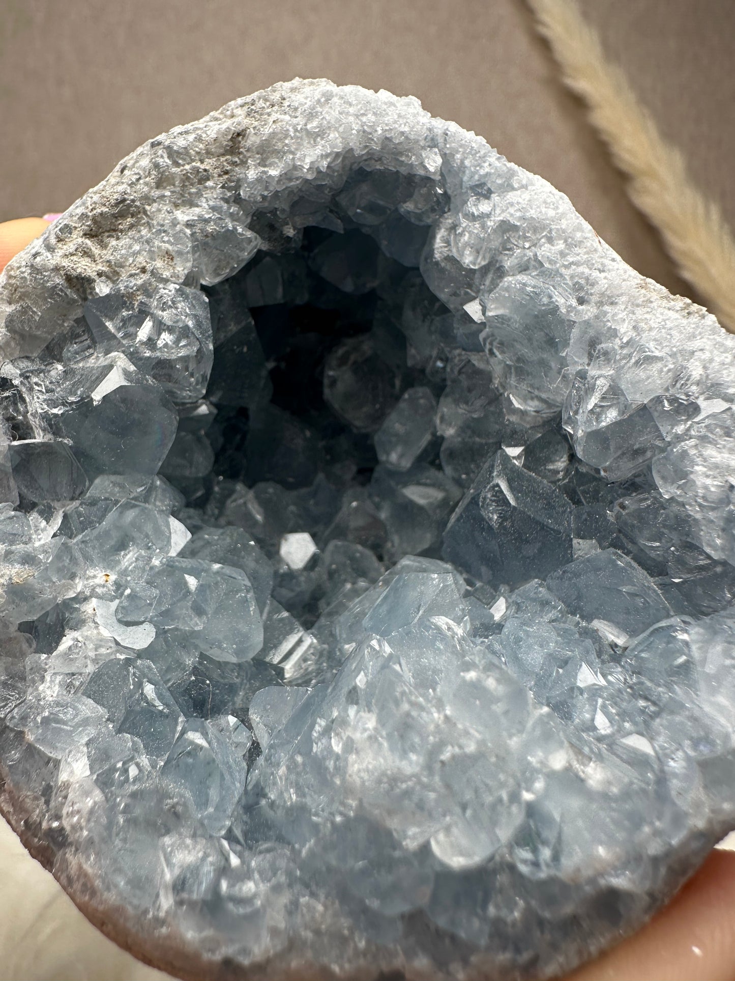 Coelestin Cluster/Geode (1)
