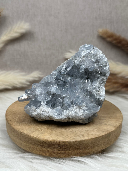 Coelestin Cluster (2)